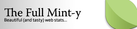 A Review of Mint Web Analytics